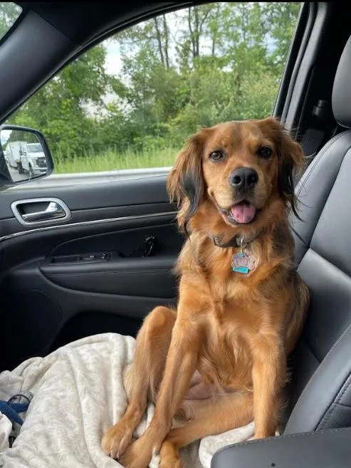 Penny In Ri thumbnail 2