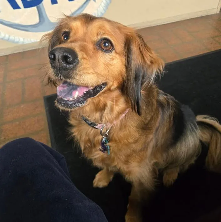 Penny In Ri thumbnail 3