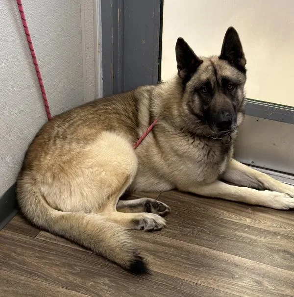 Worldwide Web thumbnail 2