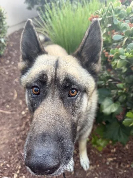 Worldwide Web thumbnail 3