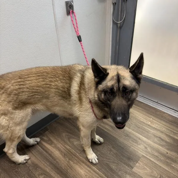 Worldwide Web thumbnail 4