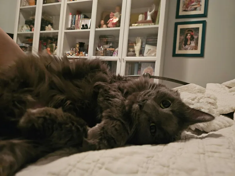 Cheeseburger thumbnail 3