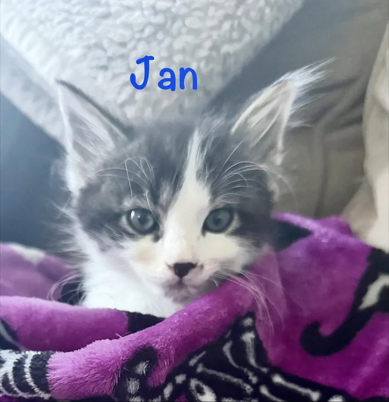 Jan thumbnail 2