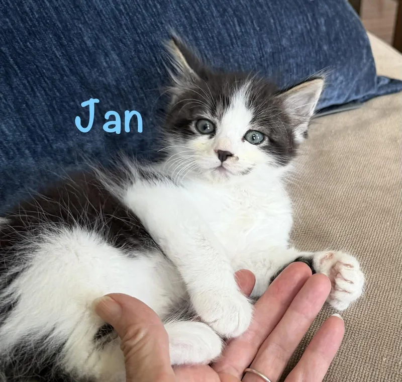Jan thumbnail 3