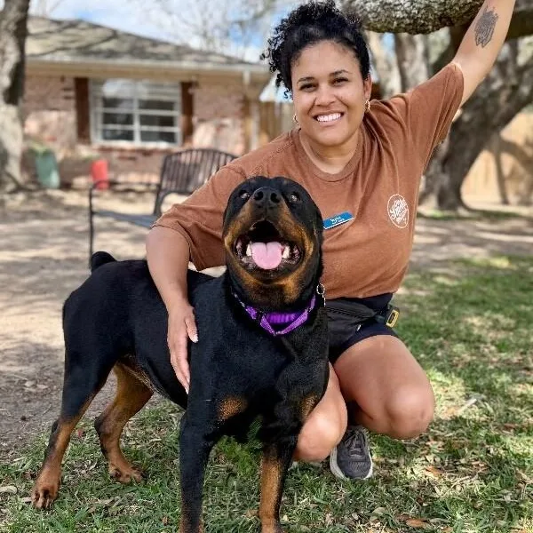 Ohlee Fetching Rottie thumbnail 2