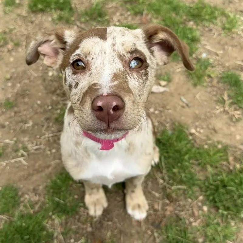 Ny Tinkerbell Avail Apr thumbnail 2