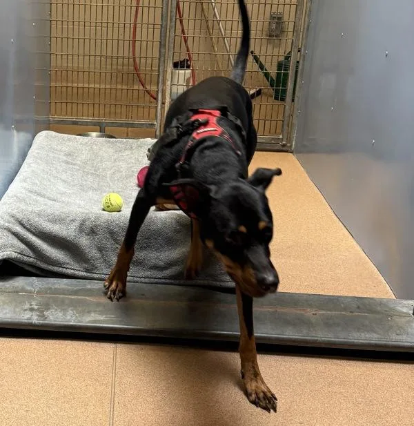 Kendall Randall thumbnail 2