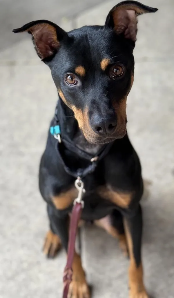 Kendall Randall thumbnail 4