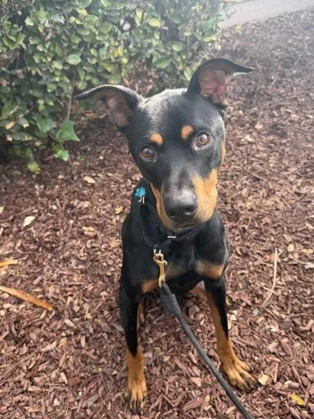 Kendall Randall thumbnail 5