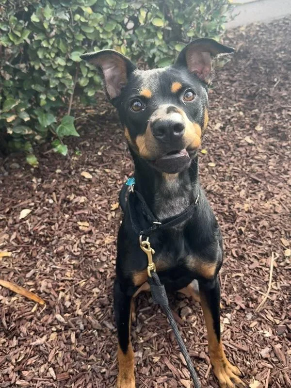 Kendall Randall thumbnail 6