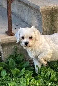 Girlfriend thumbnail 2