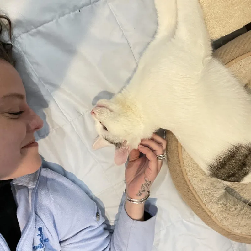 Woodrow A.k.a. Woody thumbnail 3