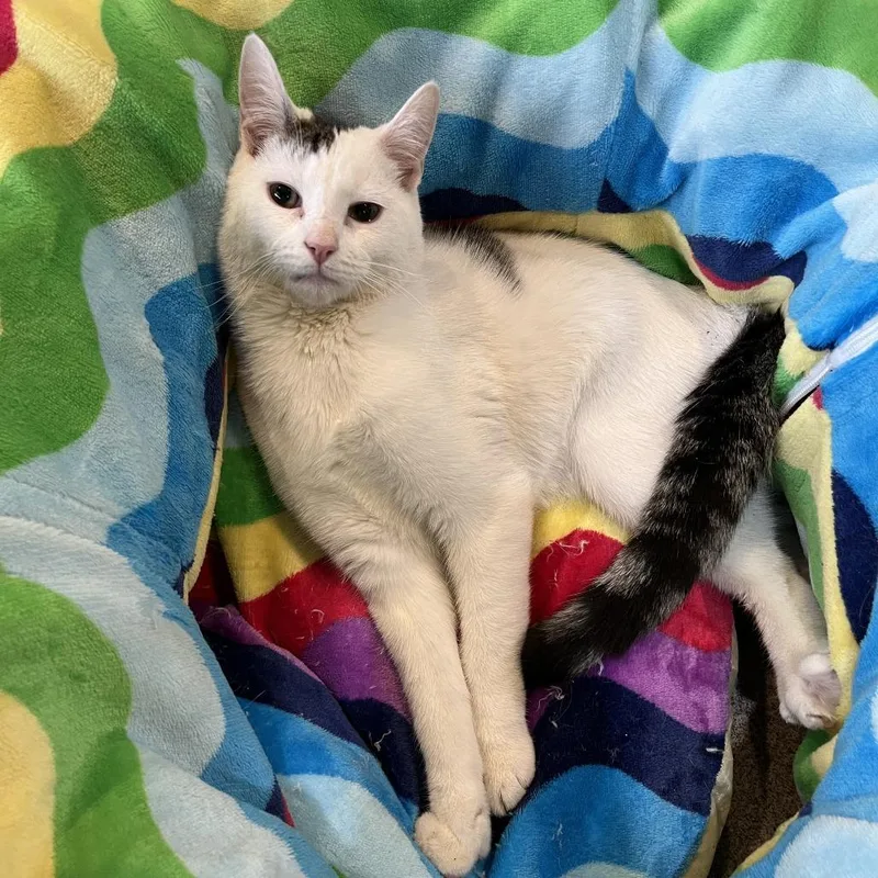 Woodrow A.k.a. Woody thumbnail 5