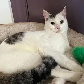 Woodrow A.k.a. Woody thumbnail 6