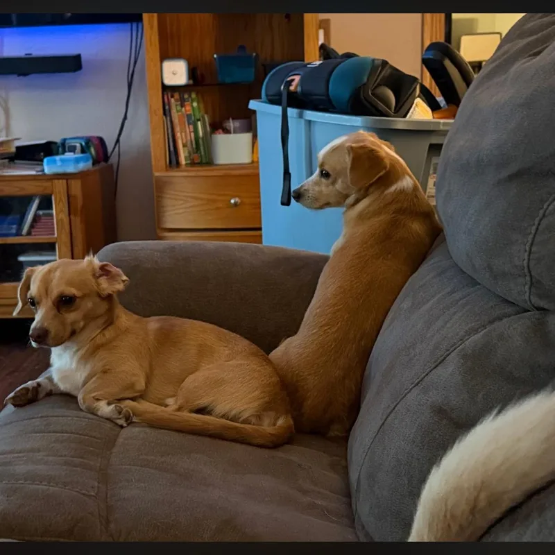 Bean And Jack thumbnail 3