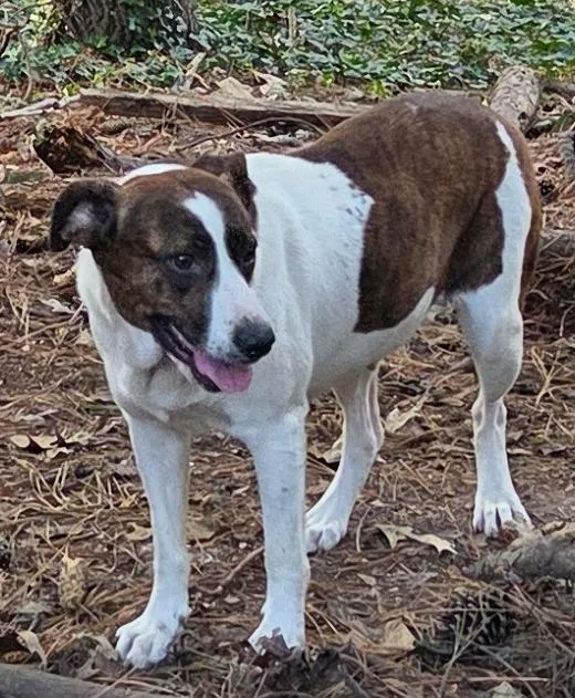 Sunshine thumbnail 2