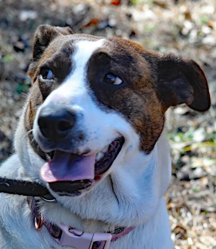 Sunshine thumbnail 3