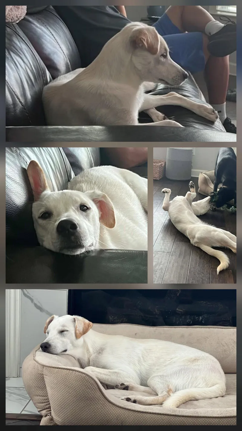Maisy thumbnail 2