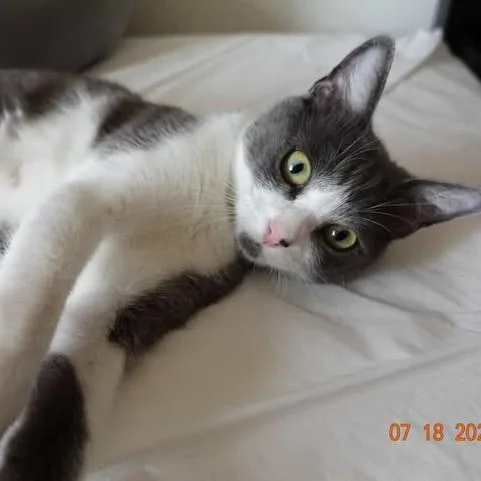 Ayla thumbnail 2