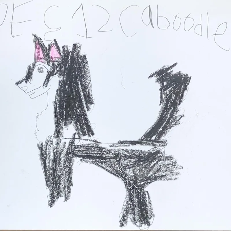 Caboodle thumbnail 4