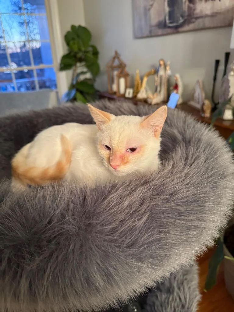 Duncan