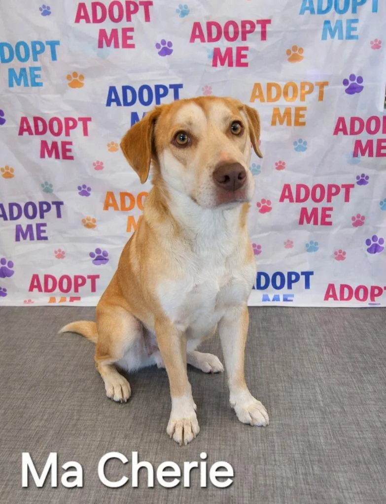 Ma Cherie Yrly thumbnail 2