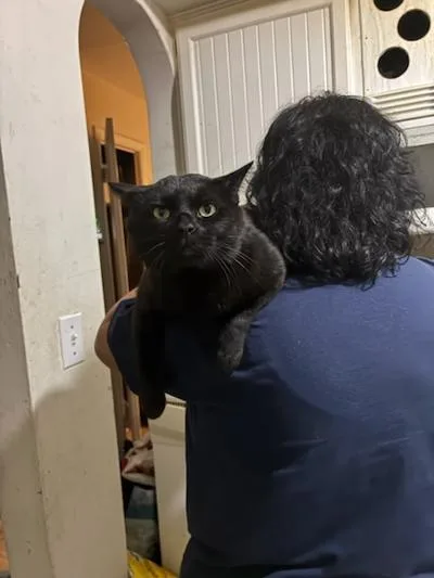 Titi thumbnail 2