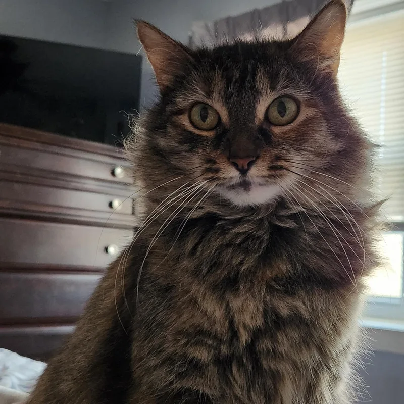 Heather With The Feathery