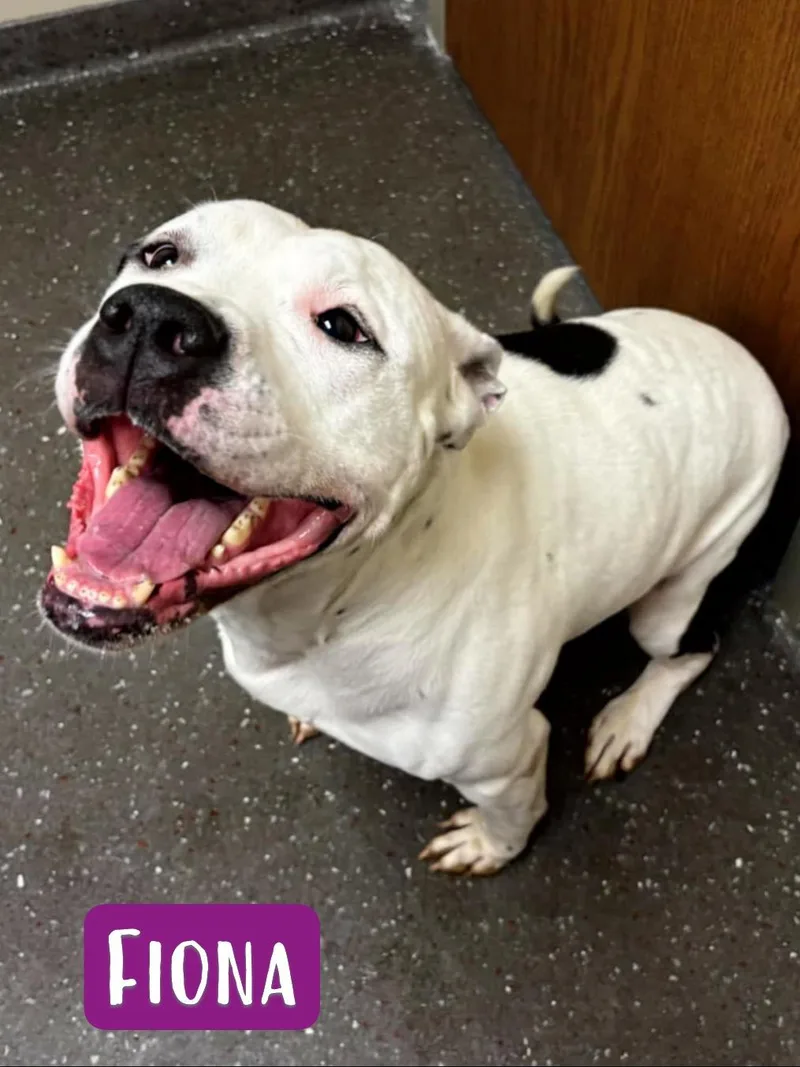 Fiona