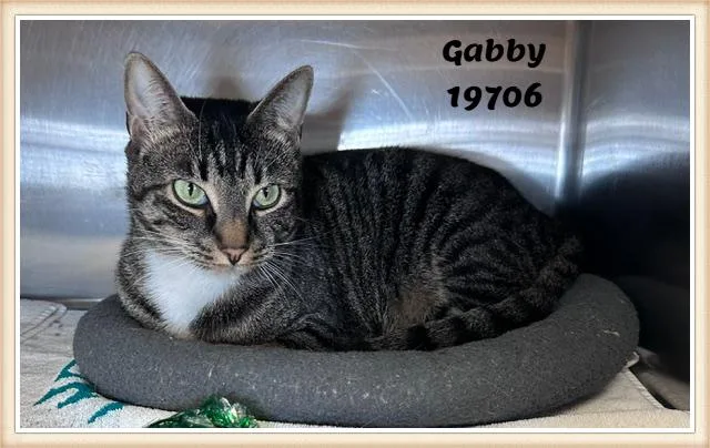 Gabby thumbnail 2