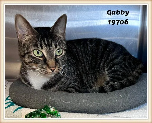 Gabby thumbnail 3