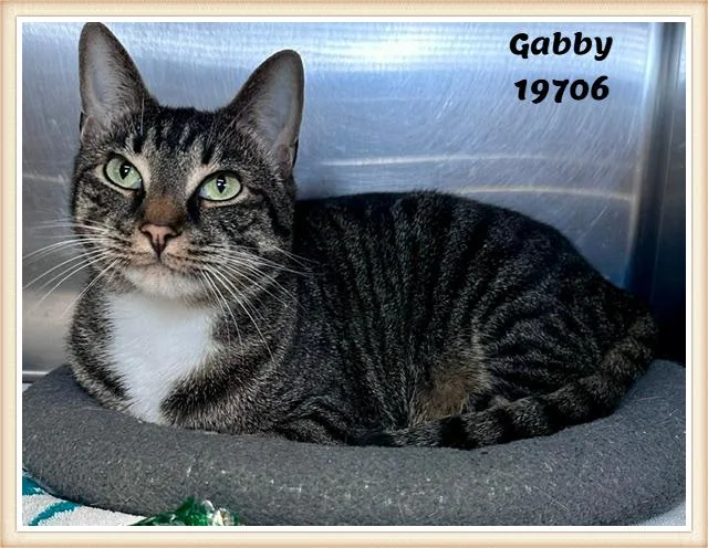 Gabby thumbnail 4