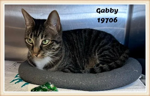 Gabby thumbnail 5