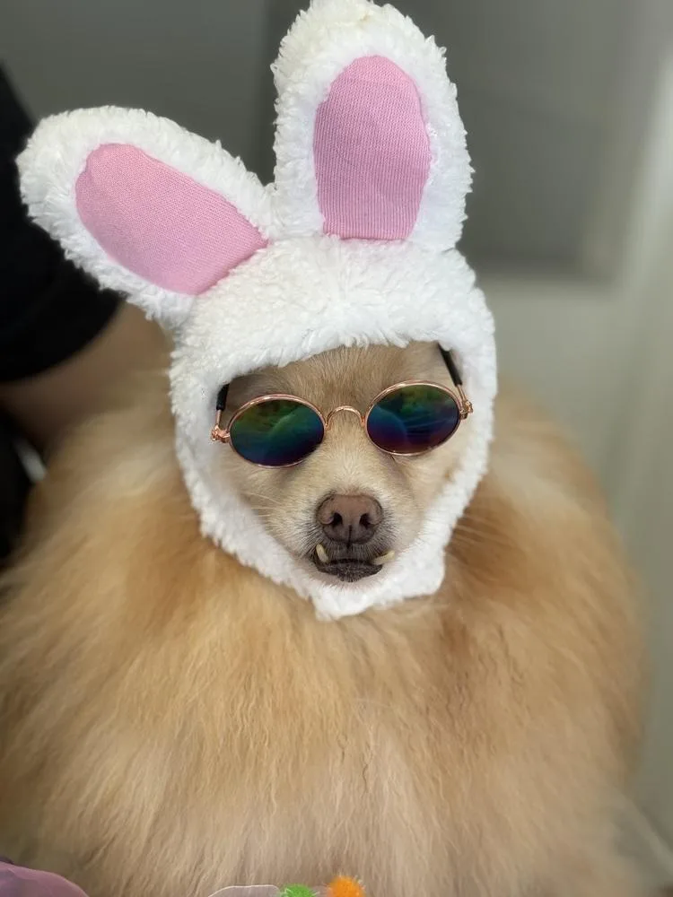 Seraphina thumbnail 2