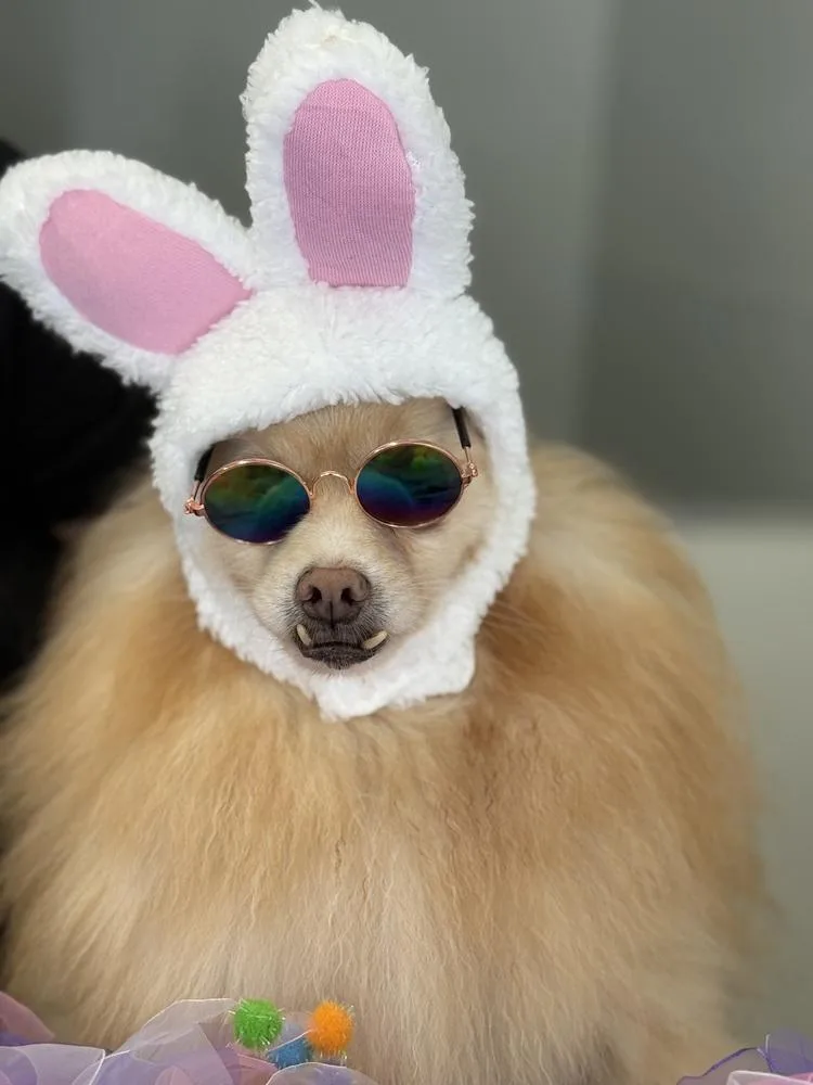 Seraphina thumbnail 5