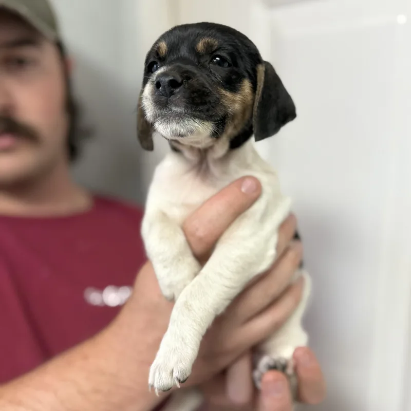 Cool Wrap thumbnail 2