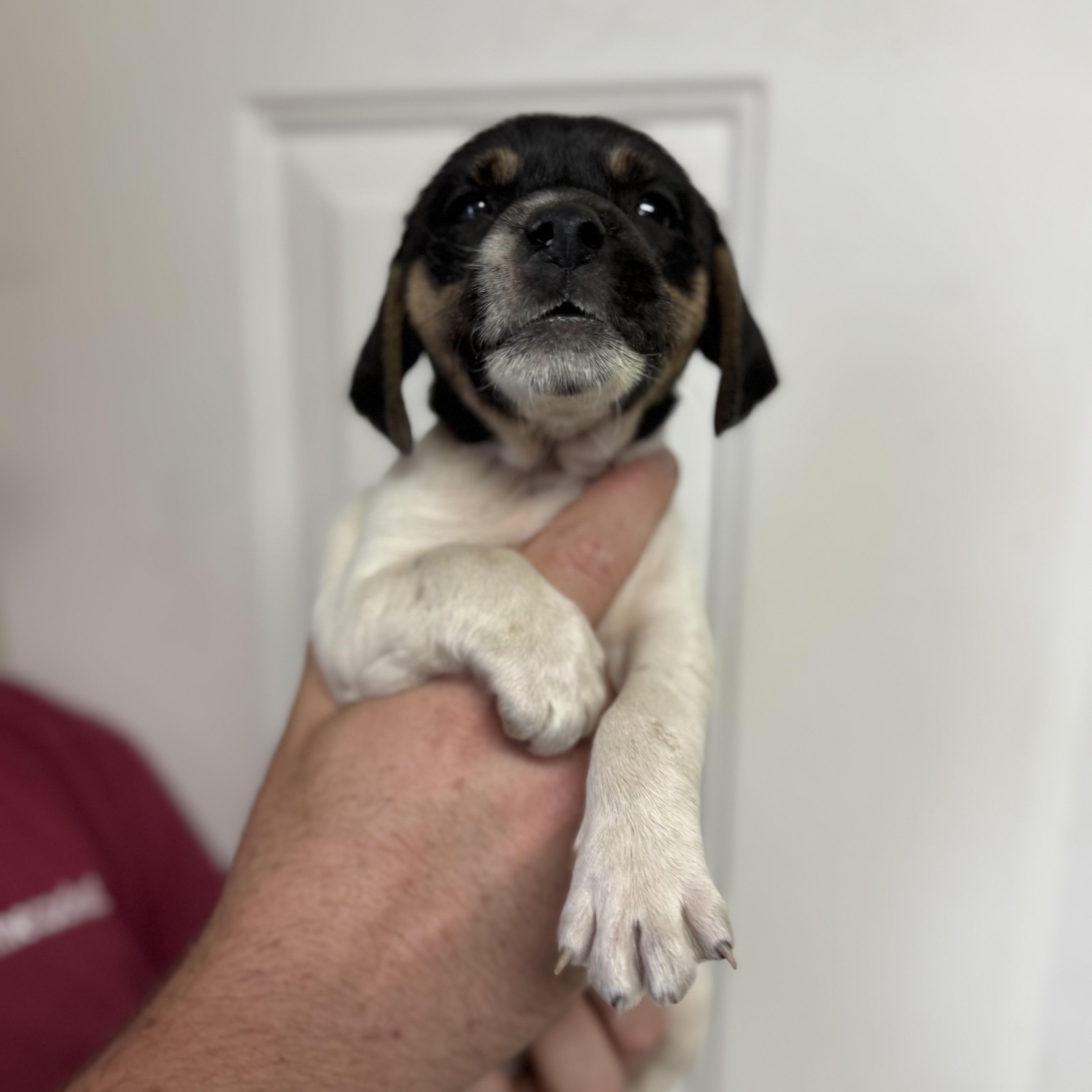 Cool Wrap thumbnail 3