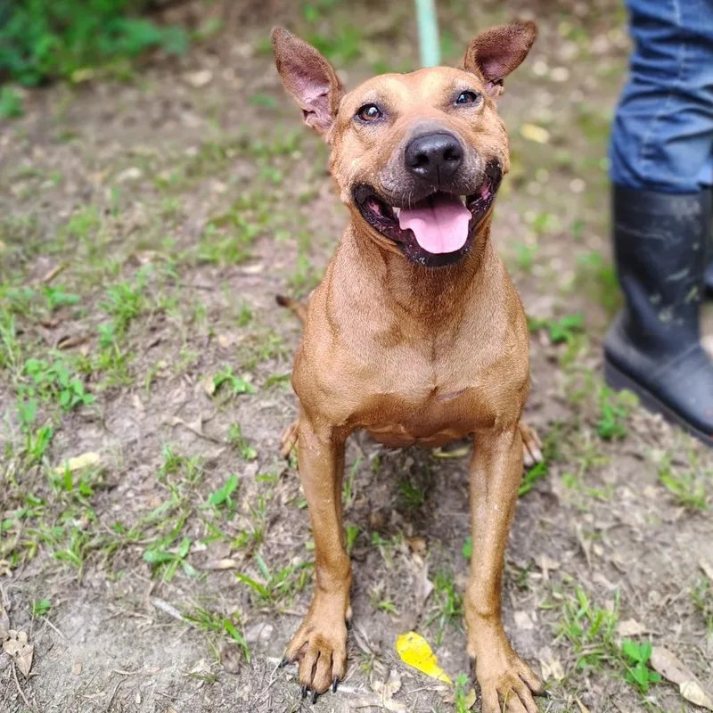 Charlotte thumbnail 3