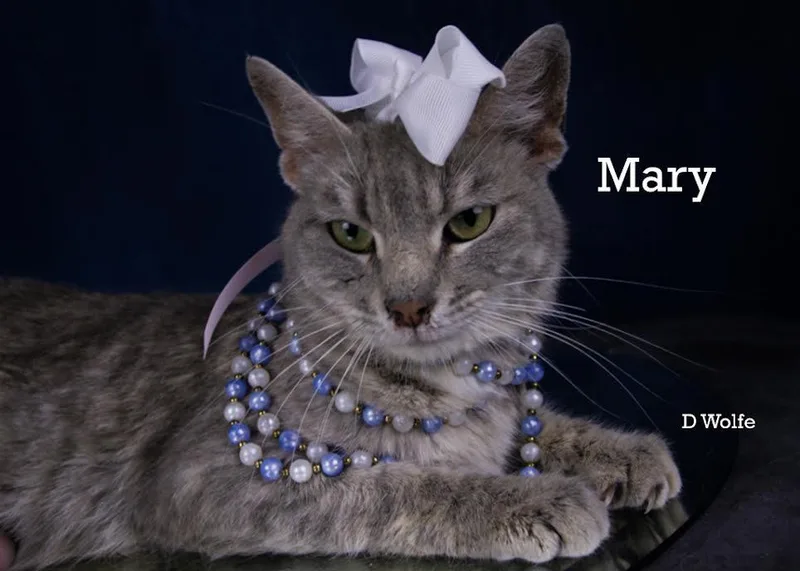 Mary