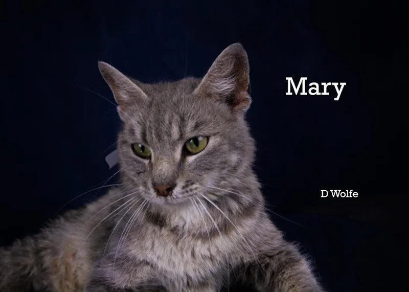 Mary thumbnail 2