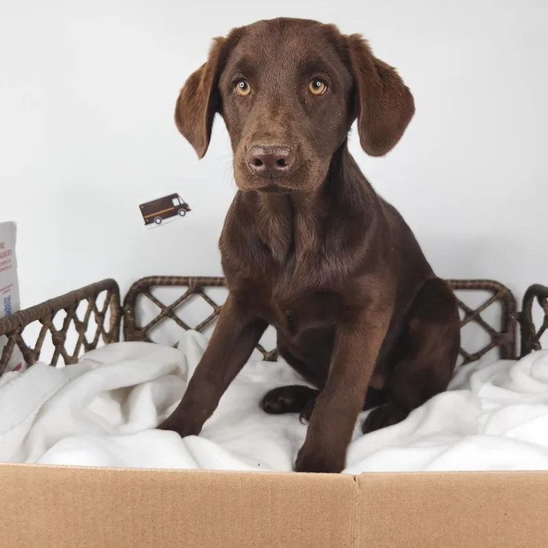 Boxes thumbnail 2