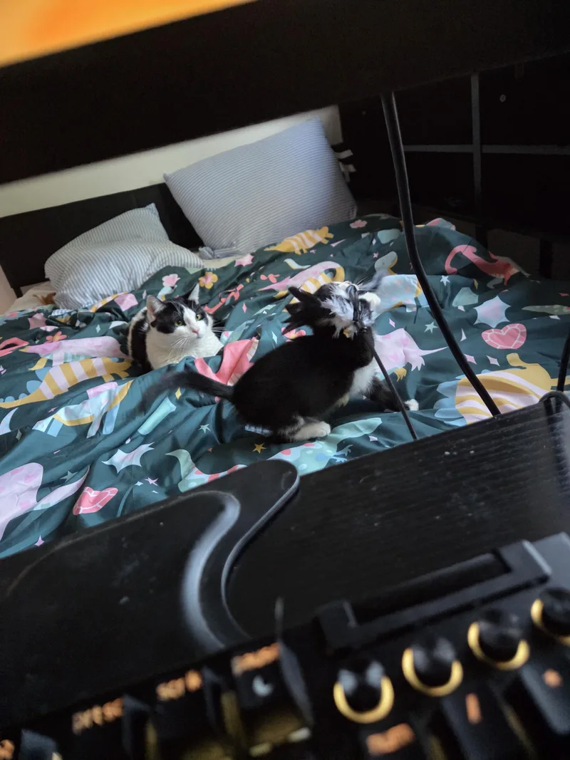 Little Roo thumbnail 3