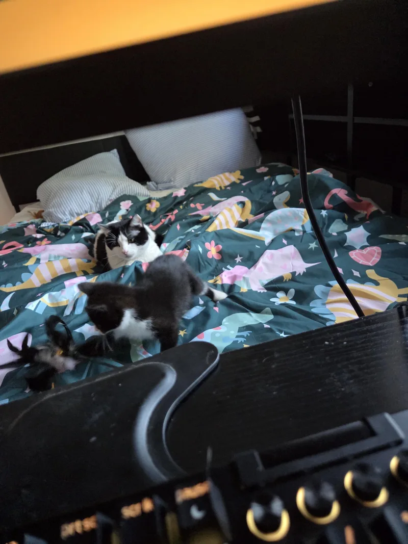 Little Roo thumbnail 6