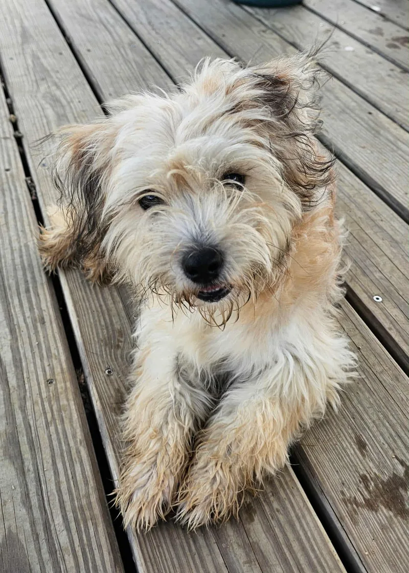 Bentley thumbnail 3