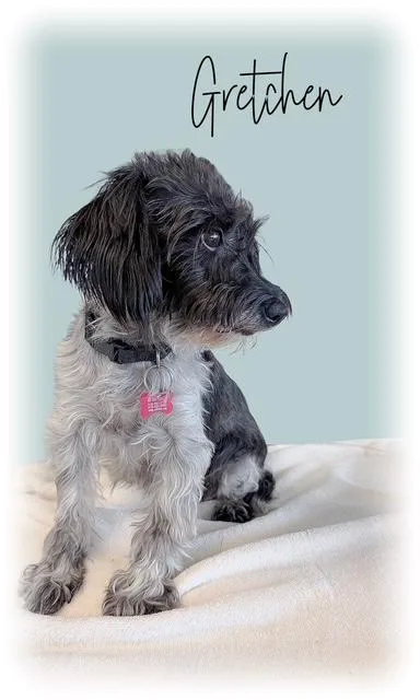 Gretchen thumbnail 2