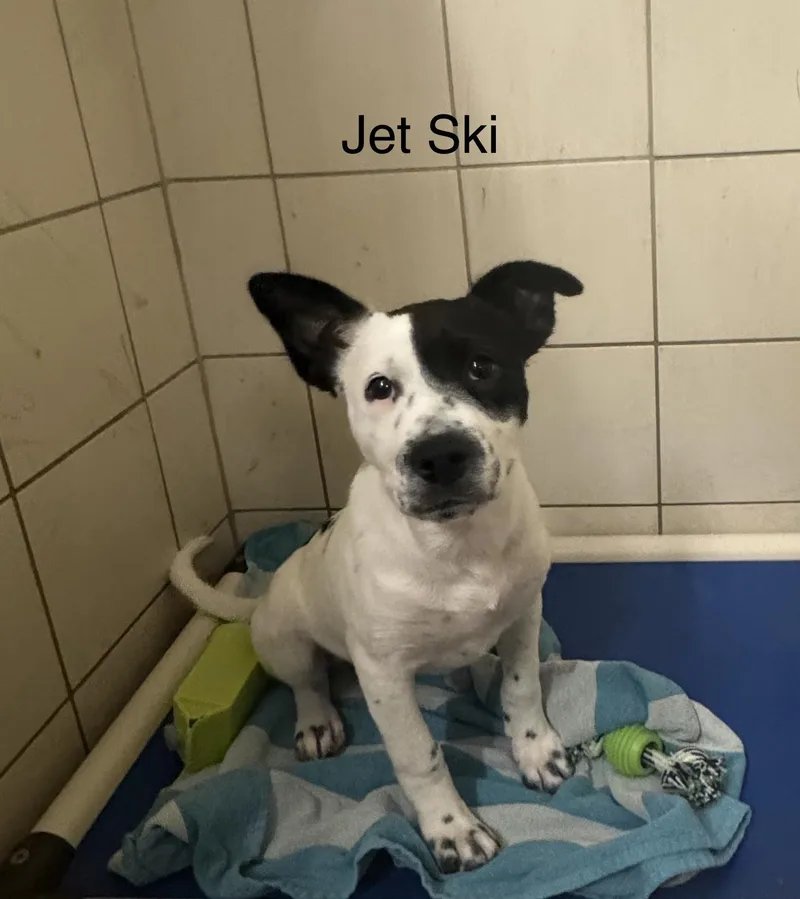 Jet Ski