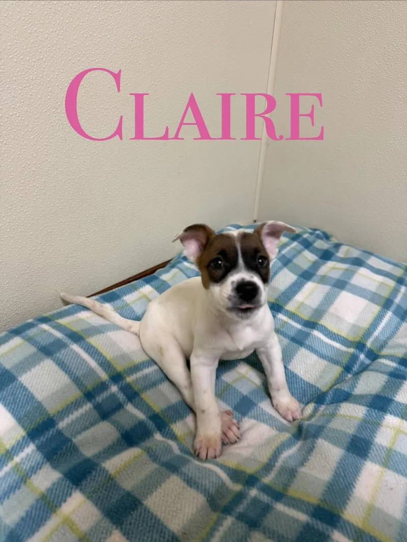 Claire thumbnail 3