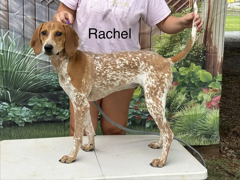 Rachel thumbnail 3