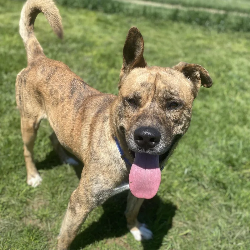 Freddie Gci Graduate!!