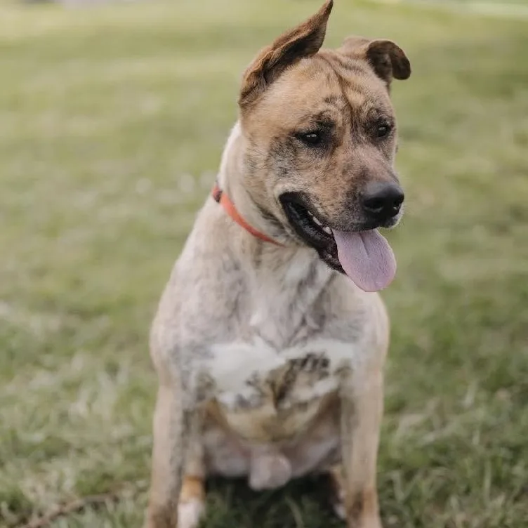 Freddie Gci Graduate!! thumbnail 2